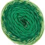 Ricorumi-Spin-Spin-dk Groen 013
