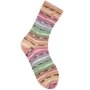 Rico-Superba-Bamboo-4-draads-057-rainbow-earthy