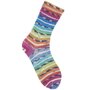 Rico-Superba-Bamboo-4-draads-058-rainbow-classic