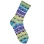 Rico-Superba-Bamboo-4-draads-060-rainbow-spring