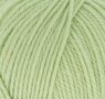 Kindsome Sage Leaf 715