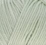 Woolwise 754 Sage Leaf