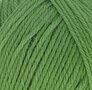 Woolwise 756 Agave Green