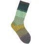 Superba Cashmeri Luxury Socks 4 draads Forest Greens 036