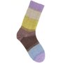 Superba Cashmeri Luxury Socks 4 draads Autumn Shades 038