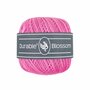 Durable Blossom 239 Fresia