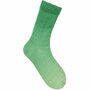 Socks D&eacute;grad&eacute; 4-draads 005 Groen