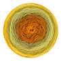Colour-Crafter-Cake-710 Mid-Century Mod Scheepjes