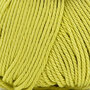 Coral Lime