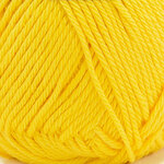 Bright Yellow Coral