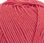 Coral Holly Berry 221