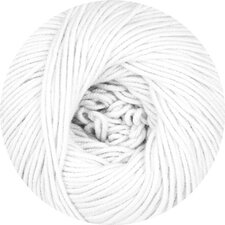 Linie 462 Parnass 001 wit