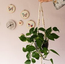 Pakket macramé plantenhanger Bobbiny Junior