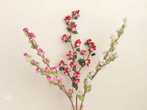 Haakpakket Appel Bloesem