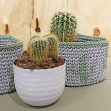 Haakpakket Bobbiny mandjes cactus