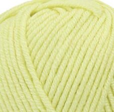 Chunky Monkey 1020 Mint